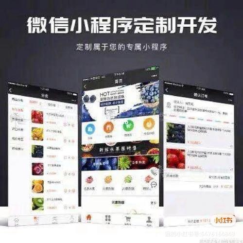 專業開發網站小程序app定制