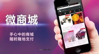 武漢微信商城開發 開發的多樣性