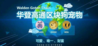 區塊狗app開發定制系統