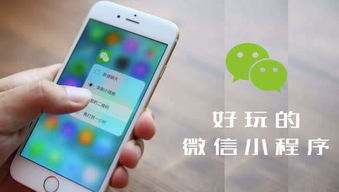 小店直播賣貨小程序定制開發