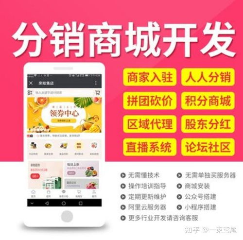 2021年實體項目搭建線上平臺 各類app專業開發找我